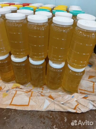 Мед Белая акация 2024