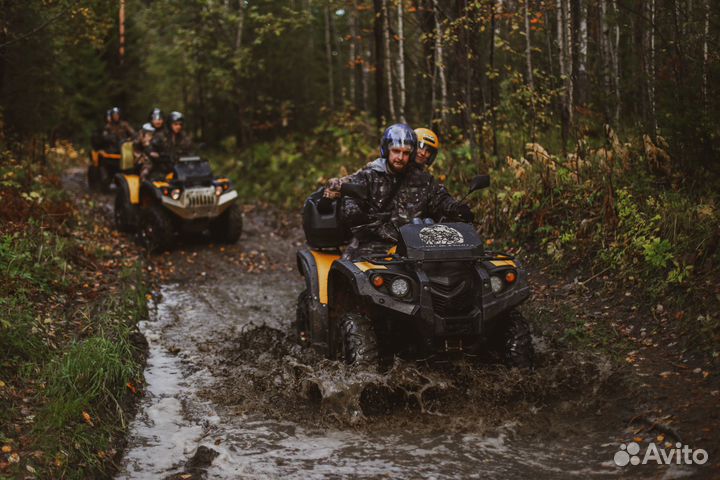 Катание на квадроциклах в Усть - Мане