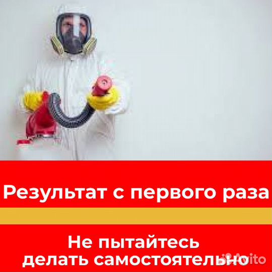 Дезинфекция
