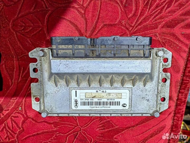 Эбу мозги на заз шанс