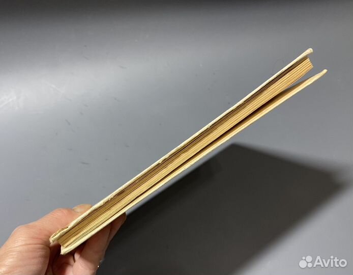 Детство и юность Владимира Маяковского