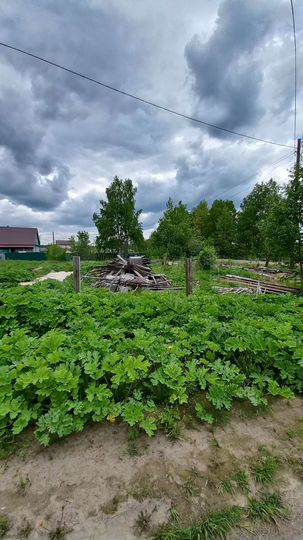 Участок 15 сот. (ИЖС)