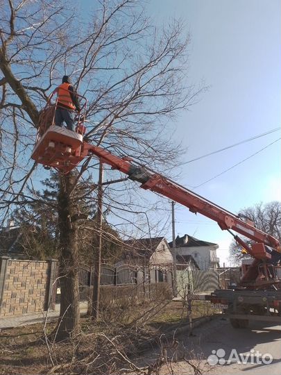 Благоустройство территории