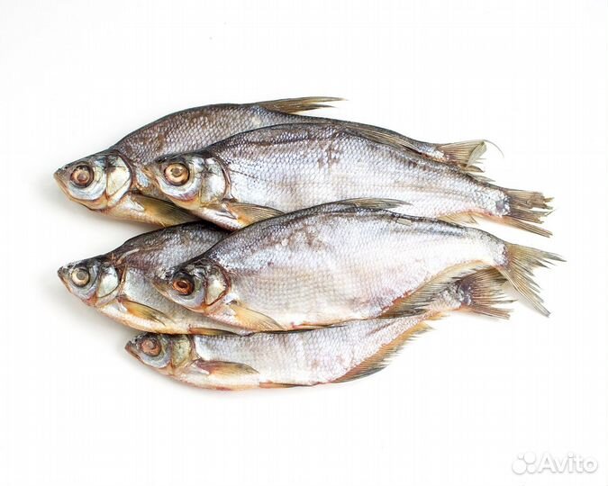 Рыба Сопа вяленая цена за кг