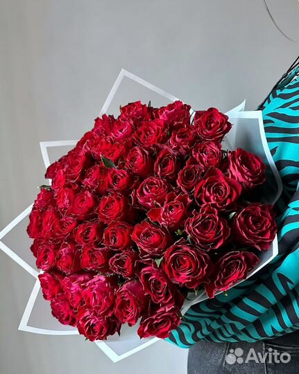 51 красная роза