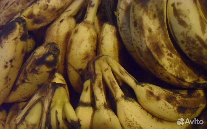 Бананы на корм
