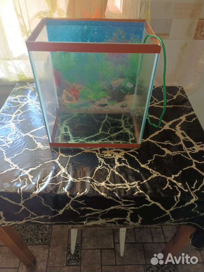 Аквариум