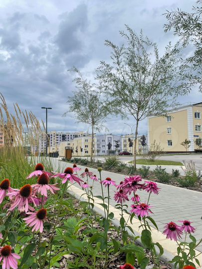 1-к. квартира, 39,7 м², 1/3 эт.