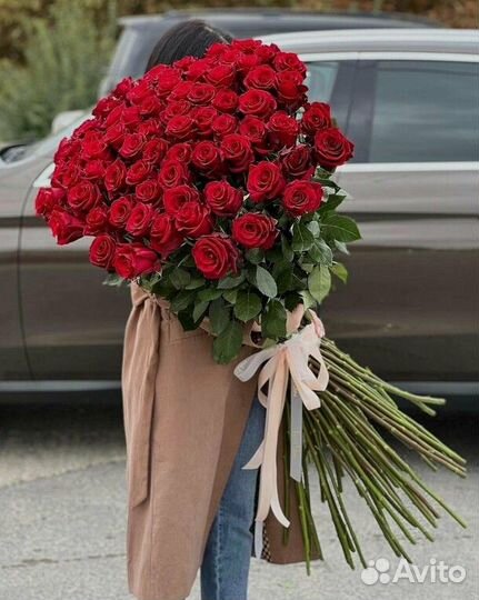 Роза высокая Эквадор