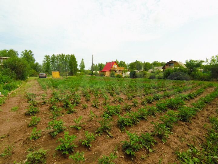 Участок 10 сот. (ИЖС)