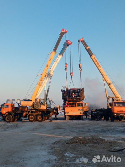 Аренда и услуги автокрана, 25 т, 21.7 м, с гуськом 9 м