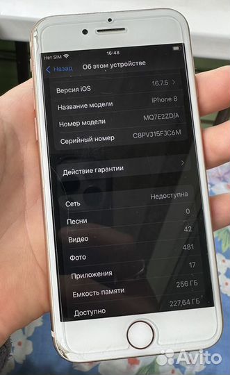 iPhone 8, 256 ГБ