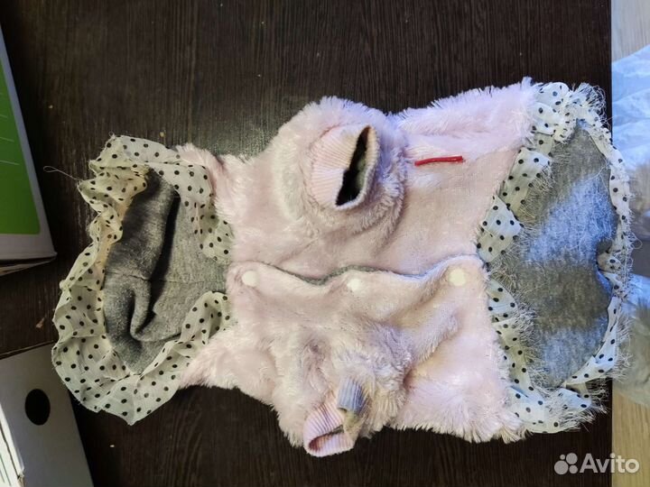 Одежда для маленьких собак