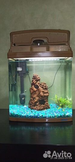 Аквариум