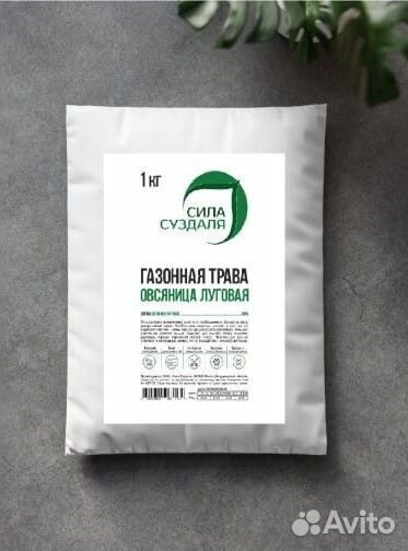 Семена овсяницы / овсяница луговая