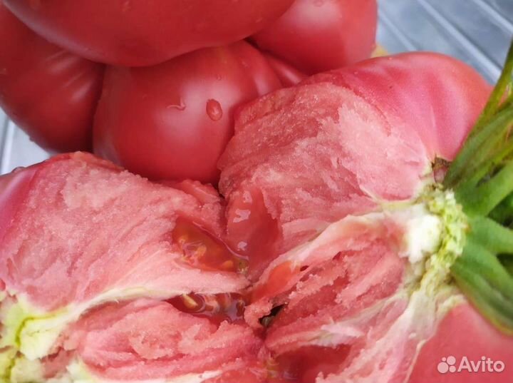 Помидоры семена