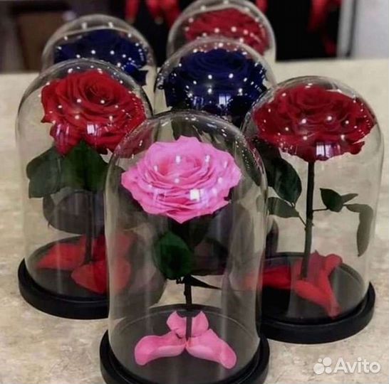 Розы в колбе любые