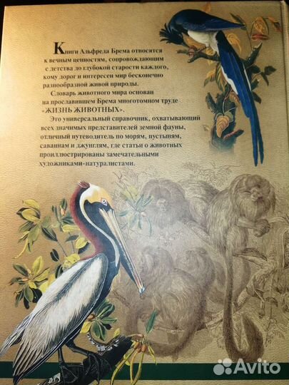 А.Брем Жизнь животных 6томов в 1книге