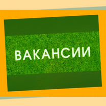 Работа вахтой Укладчик жилье/еда Еженед.выплаты