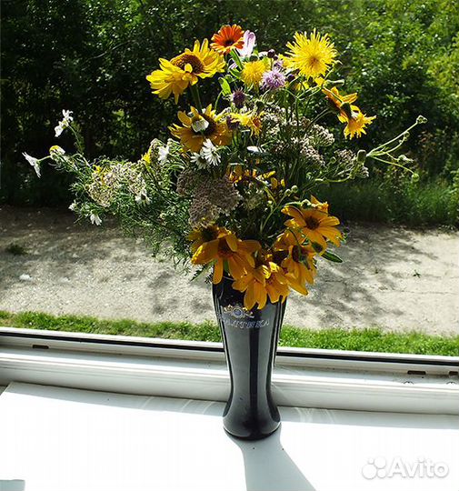 Компактный фотоаппарат FujiFilm FinePix HS25