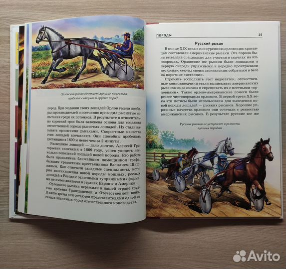 Детские книги энциклопедии