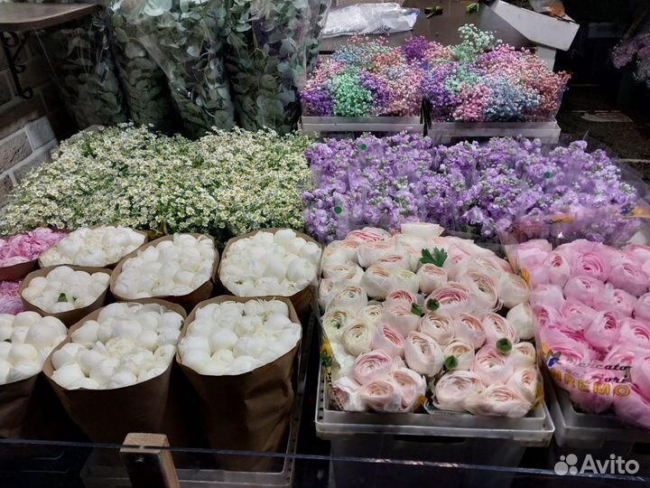 Пионы Букет цветы