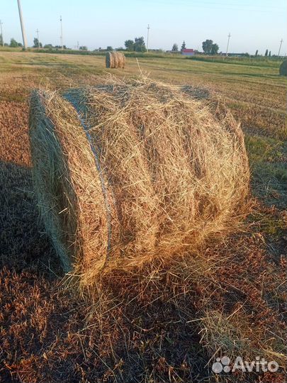 Сено и солома в рулонах