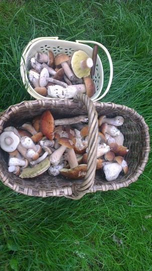 Дом 66 м² на участке 7 сот.