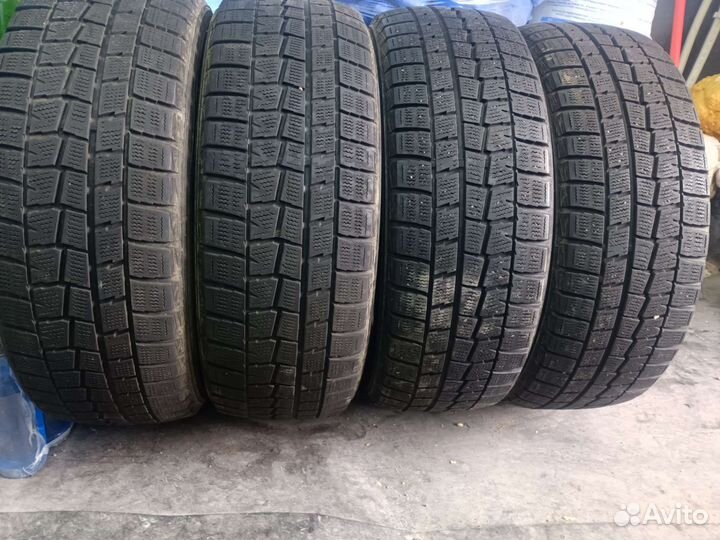 Dunlop Winter Maxx WM01 205/55 R16 94T