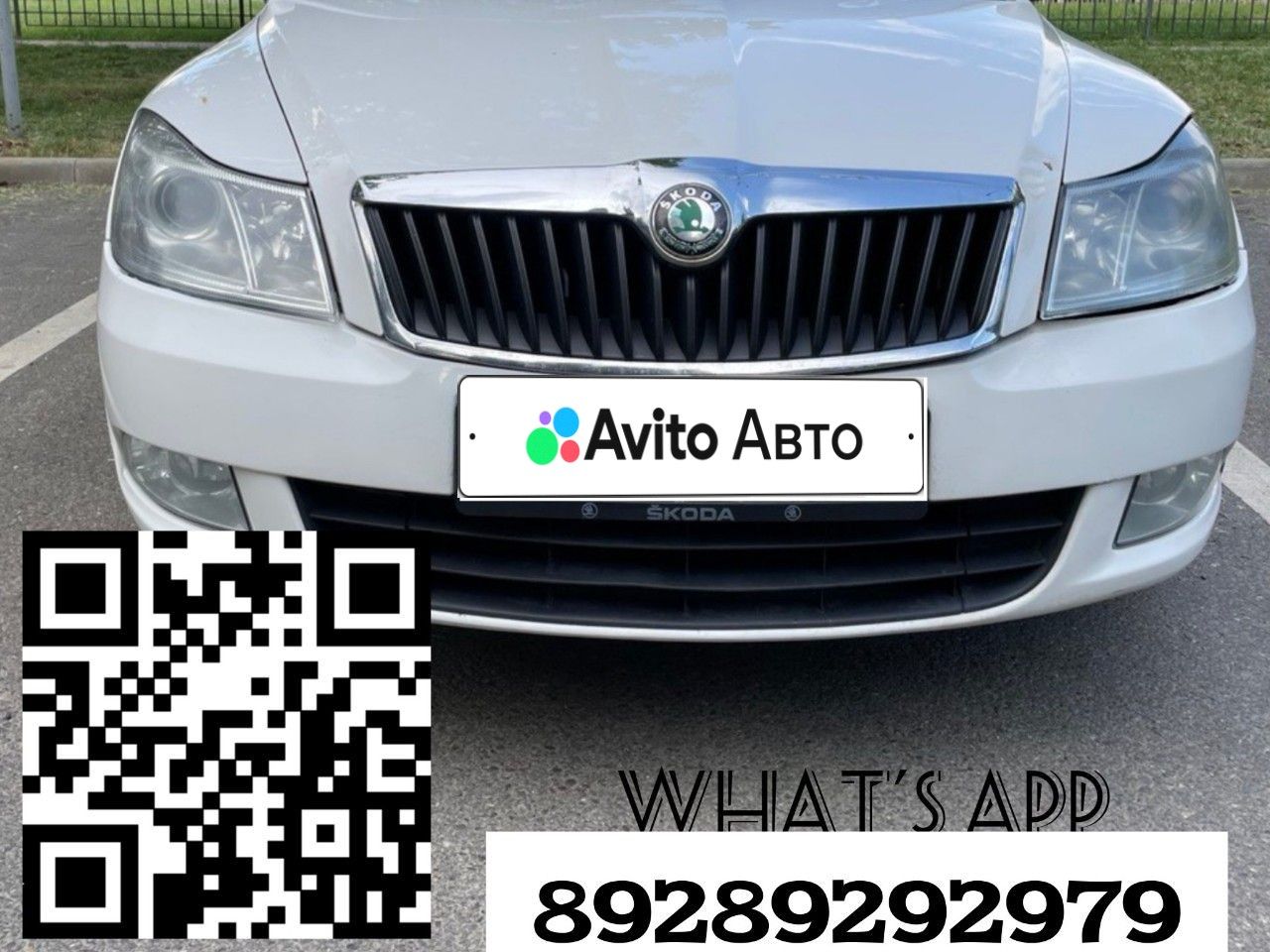 Skoda Octavia: фото владельца