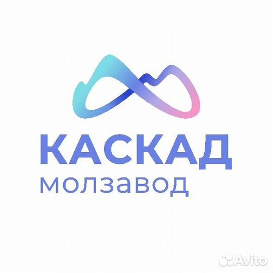 Заместитель директора