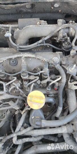 Двигатель Renault Laguna f9q670 f9q