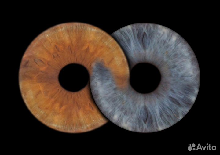 Фотостудия Радужки глаза