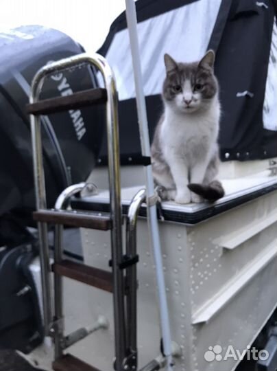 Прогулки на катере по р. Ангара