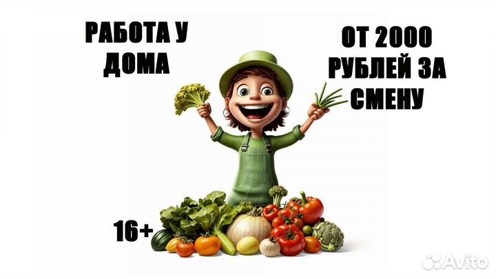 Сборщик заказов от 3 часов в день 16+