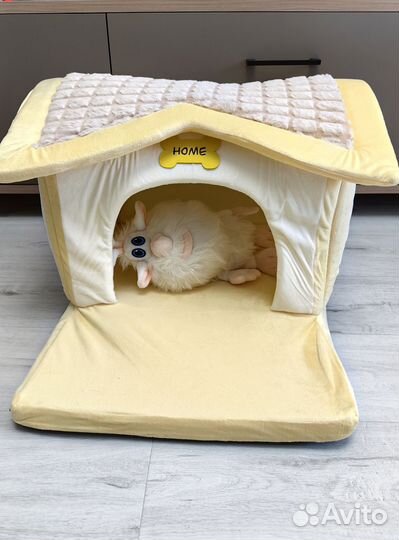 Новый домик лежанка для собак