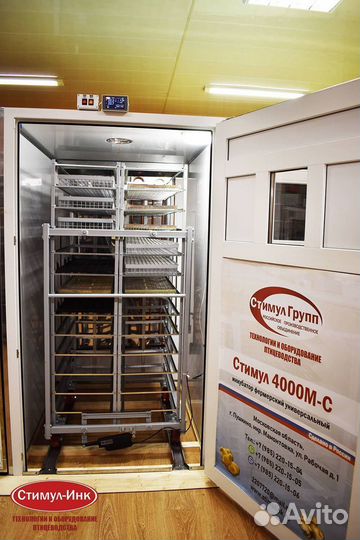 Инкубатор стимул 4000 выводной и предварительный