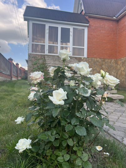 Дом 213 м² на участке 15 сот.