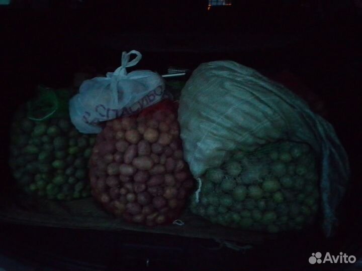 Продам мелкий картофель