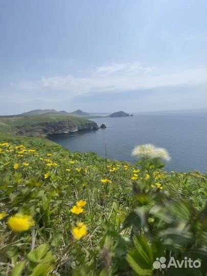 Туры / экскурсии по Сахалину