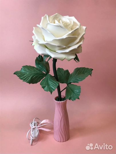 Роза-ночник