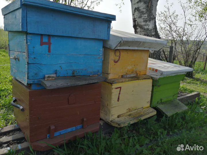 Улей для пчел