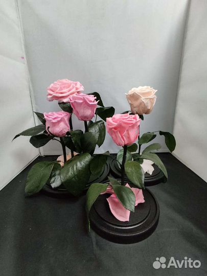 Роза в колбе оптом