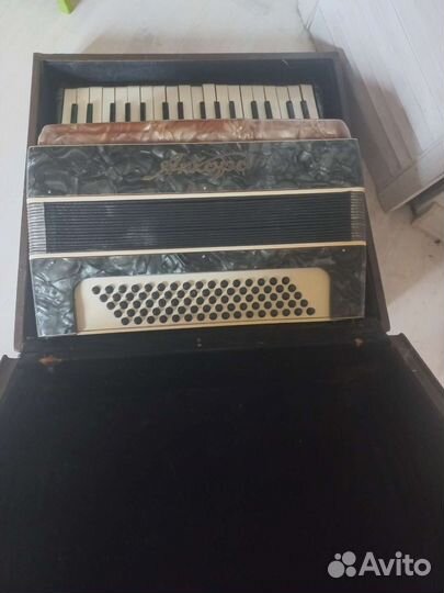 Аккордеон