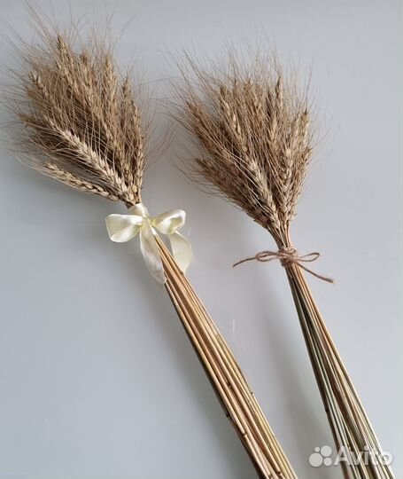 Букет из сухоцветов колосьев