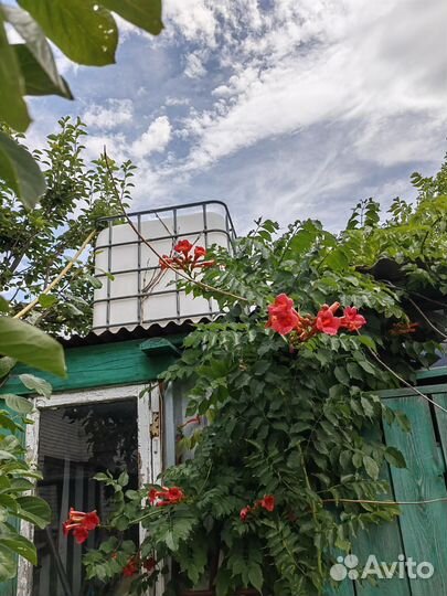 Емкость для воды пластиковая 1 куб б/у