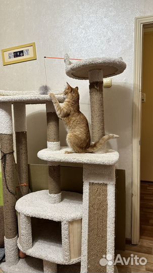 Домик для кошки