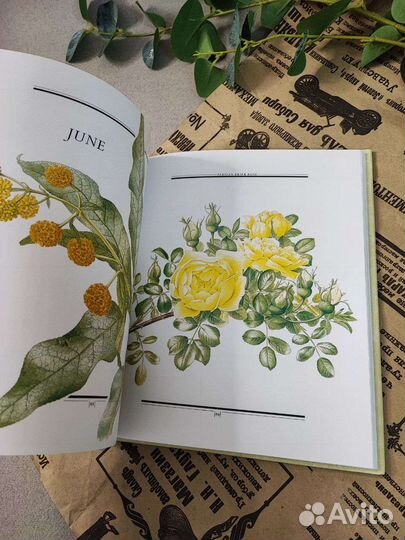 Книга Год в Викторианском саду