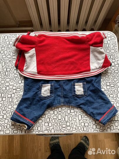 Комбинезон для маленькой собаки