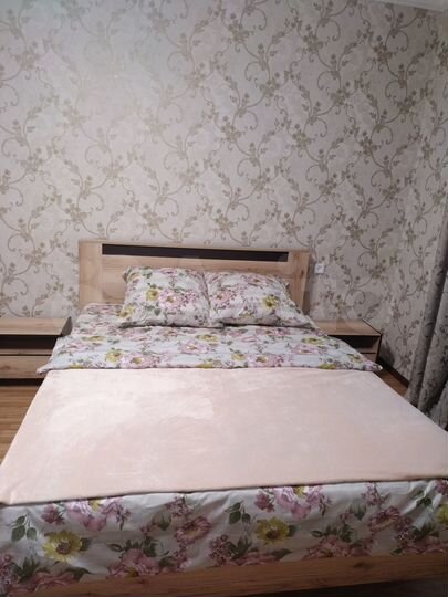 1-к. квартира, 43 м², 1/3 эт.